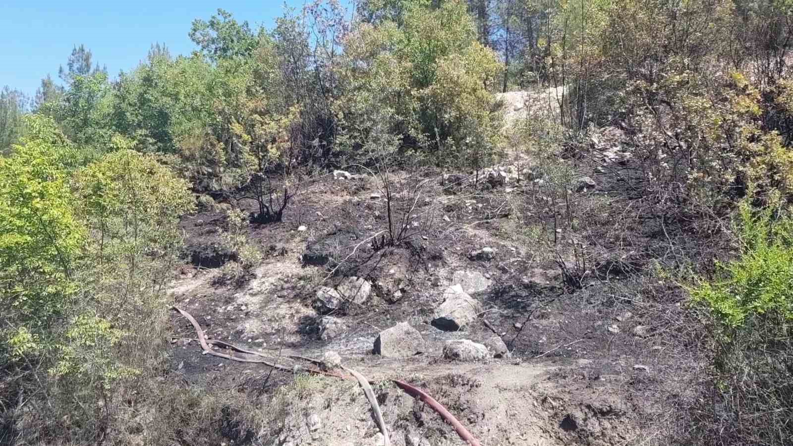 karabukte-ortu-yanginlari-buyumeden-sonduruldu