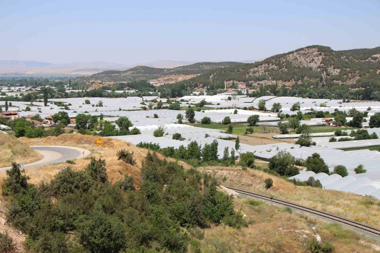 kucuk-antalya-amasyada-domates-hasadi-basladi