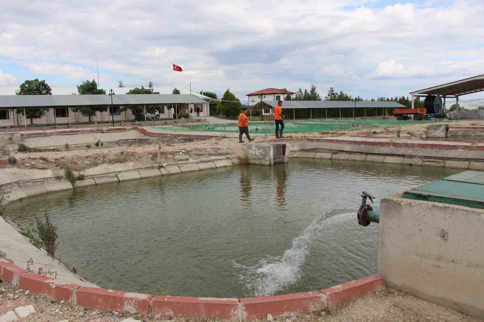 nesli-tehlike-altindaki-sivriburundan-sadece-150-tane-kaldi-amasyada-100-bin-yavru-balik-uretimi-planlaniyor