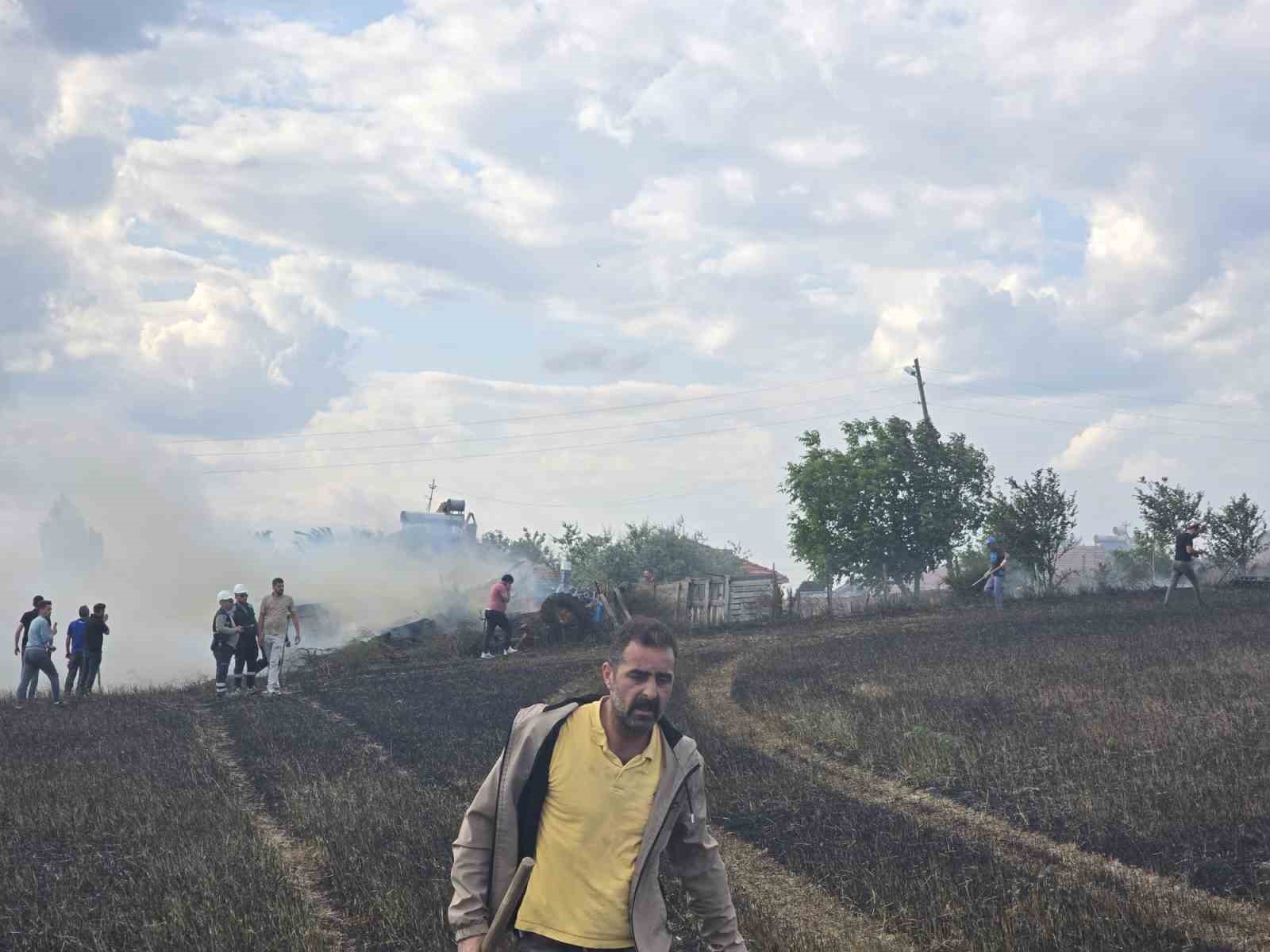 tarlada-cikan-yangin-panige-neden-oldu