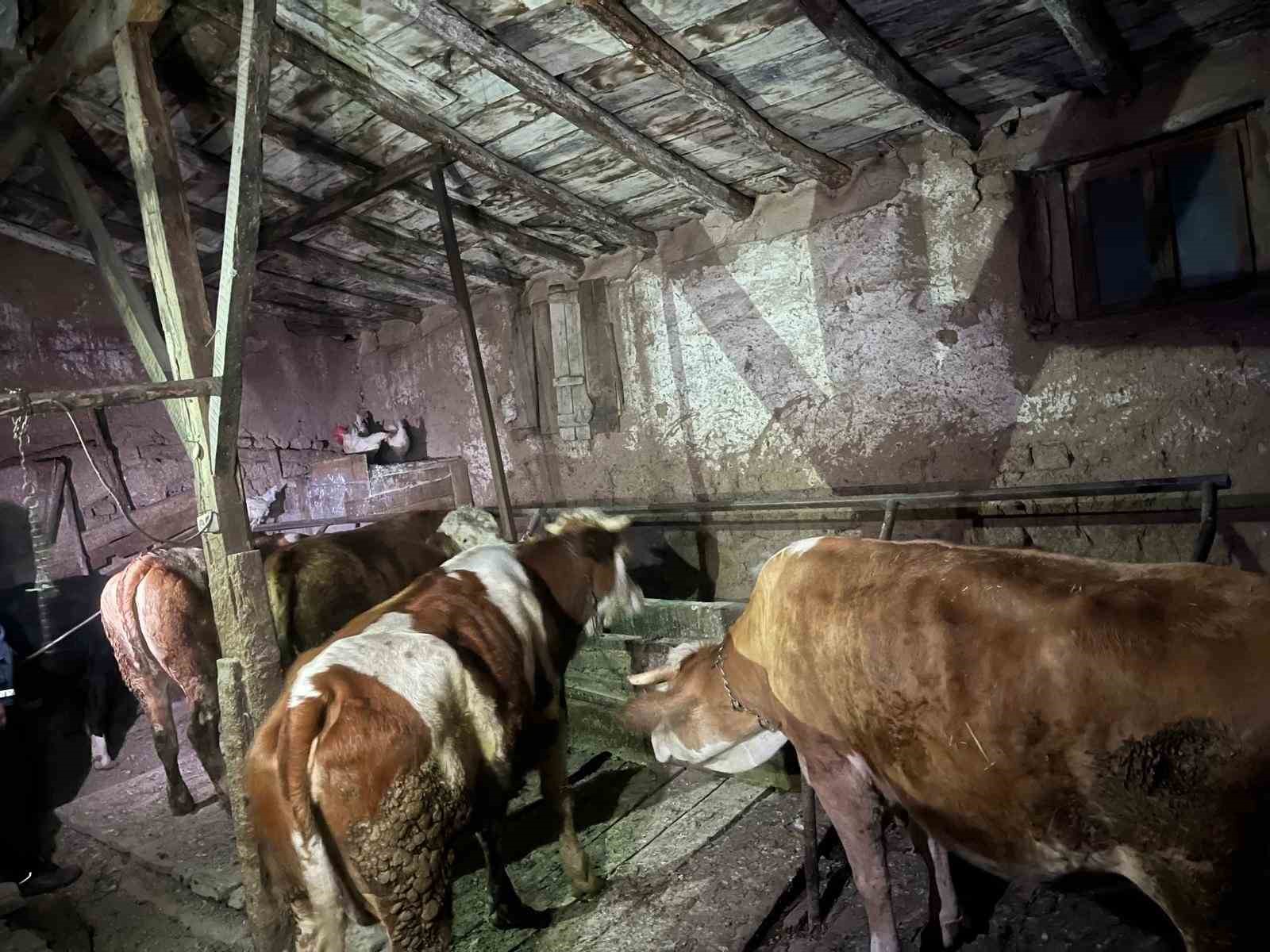 yasli-kadinin-2-katli-evi-kule-dondu