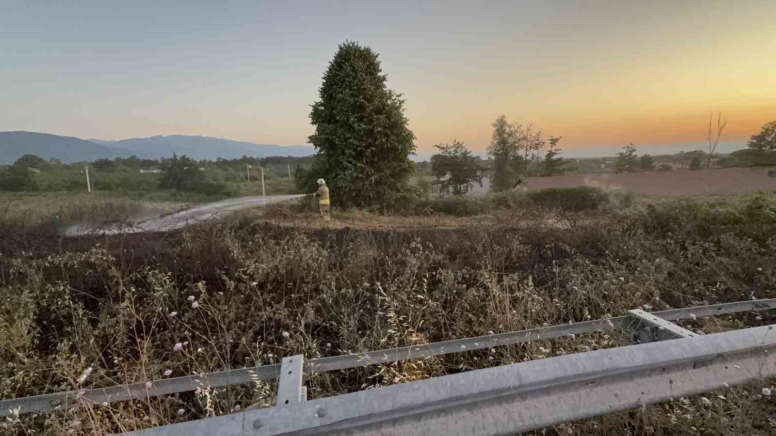 yol-kenarina-atilan-izmarit-otlari-yakti