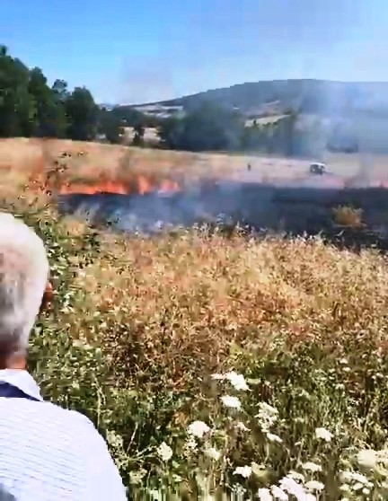 1-yillik-emek-kul-oldu-orman-son-anda-kurtarildi
