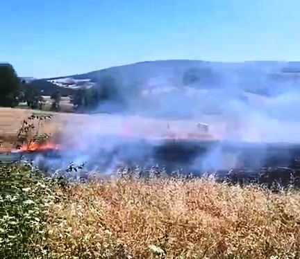 1-yillik-emek-kul-oldu-orman-son-anda-kurtarildi
