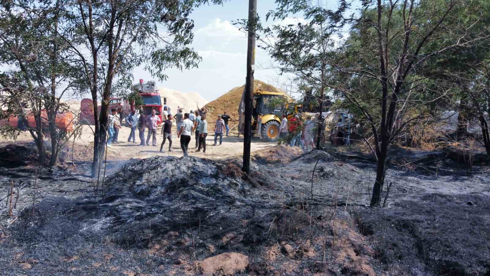 alacada-aniz-yangini-70-donum-arazi-kul-oldu