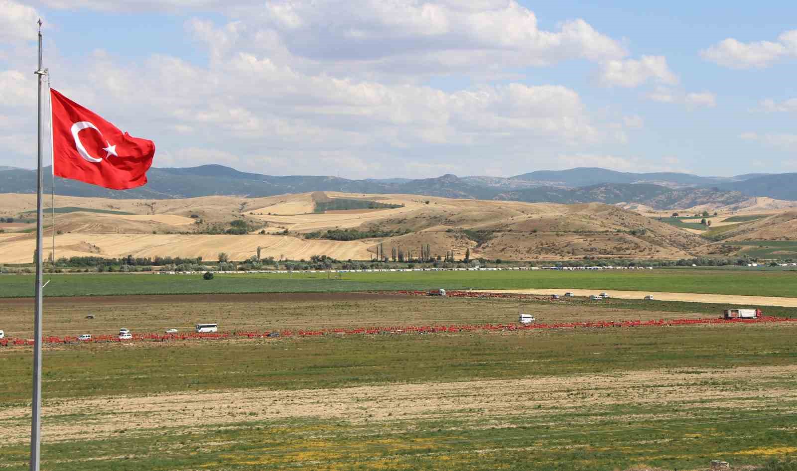 amasyada-bu-yil-sogan-bol-avrupa-ve-rusyaya-da-ihrac-edildi