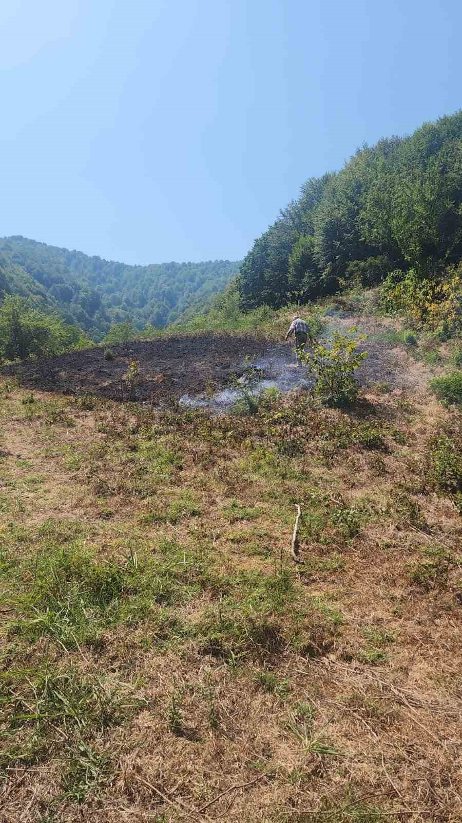 bartinda-aniz-yangini-ormana-sicramadan-sonduruldu