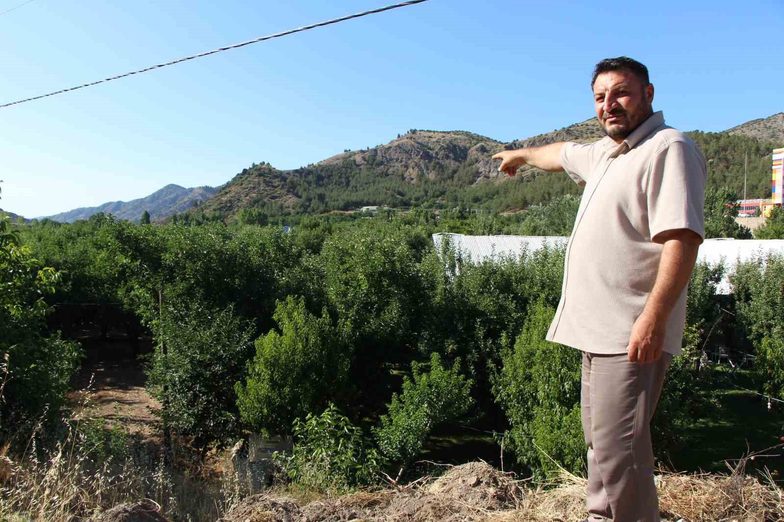 don-felaketinden-korunan-elmalari-satmayip-bahcesine-gelenlere-ikram-ediyor