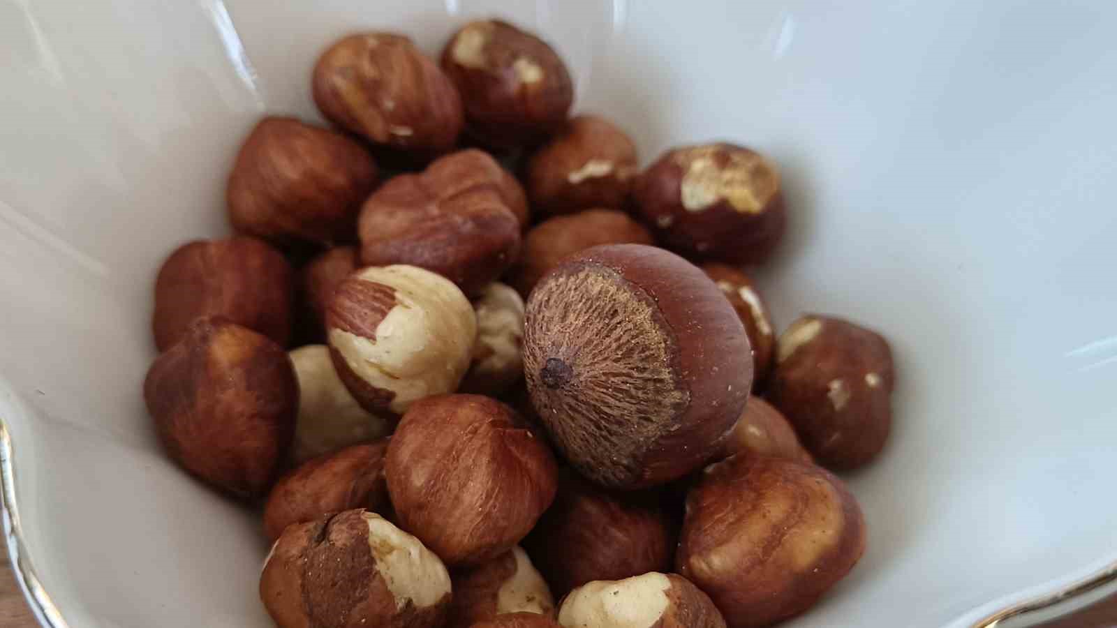 orduda-findik-toplama-isci-ucreti-bin-200-tl-olarak-belirlendi
