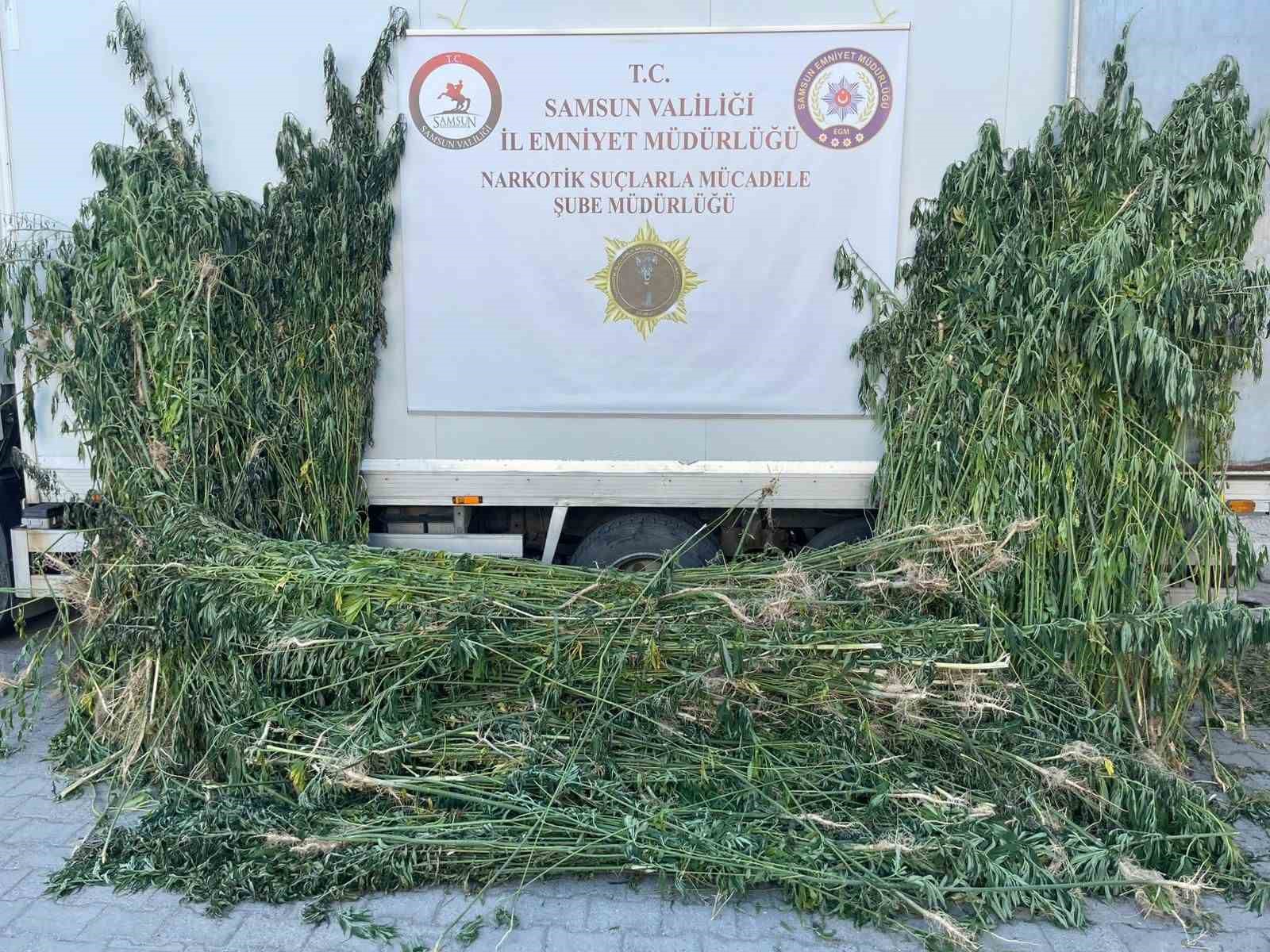 polis-aycicegi-tarlasinin-ortasina-ekili-5-bin-230-kok-kenevir-ele-gecirdi