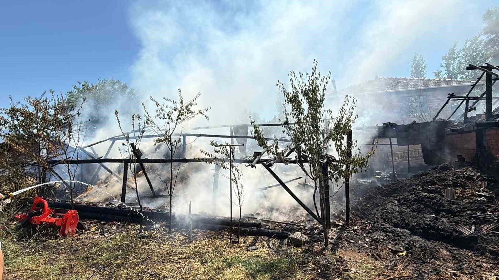 yaprak-pisirilirken-cikan-yangin-ahira-sicradi-7-buyukbas-hayvan-telef-oldu