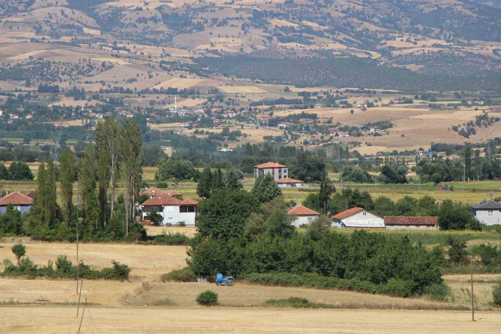 amasyanin-tescilli-bamyasina-afrikadan-rakip-cikti