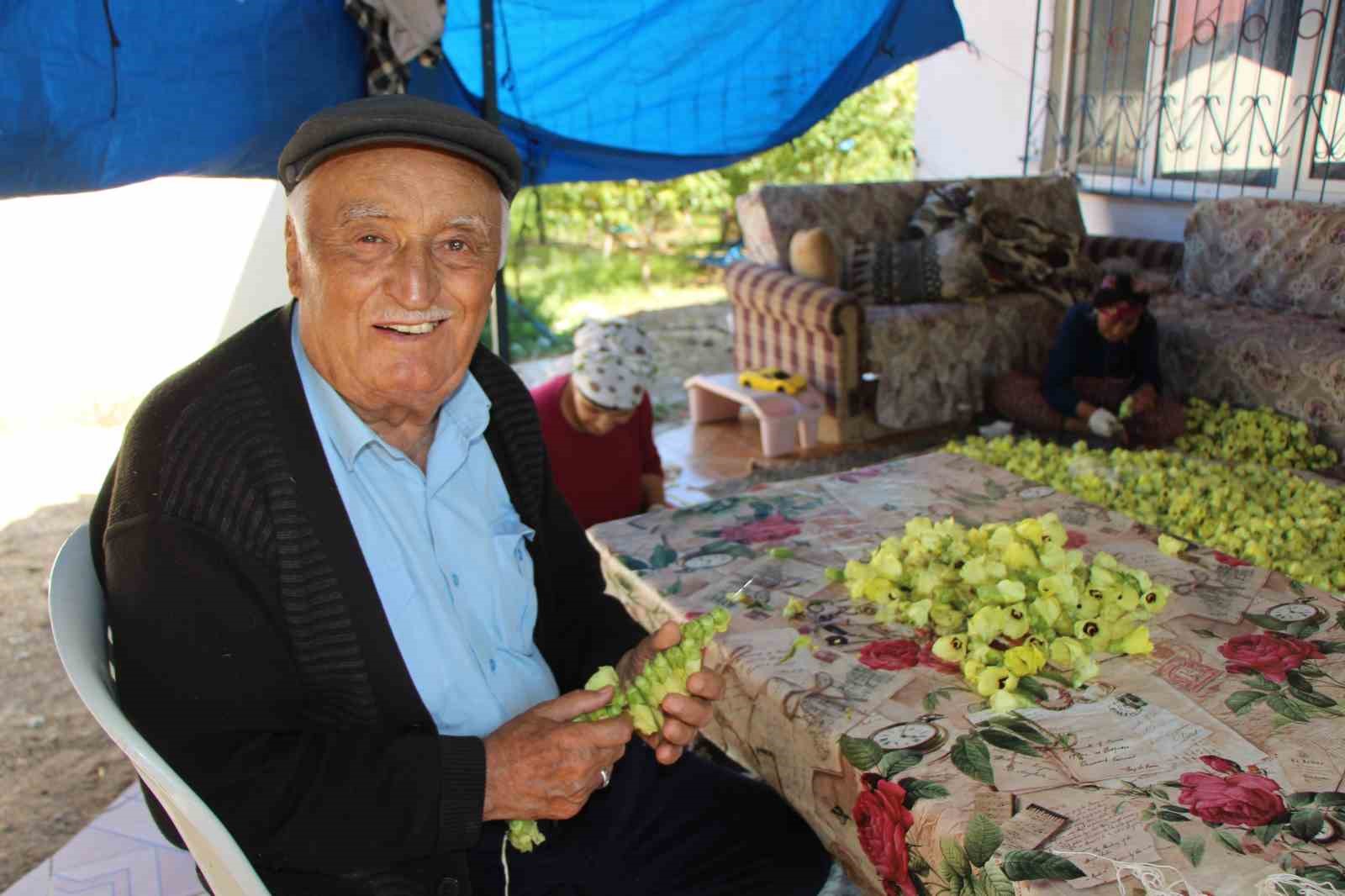 amasyanin-tescilli-bamyasina-afrikadan-rakip-cikti