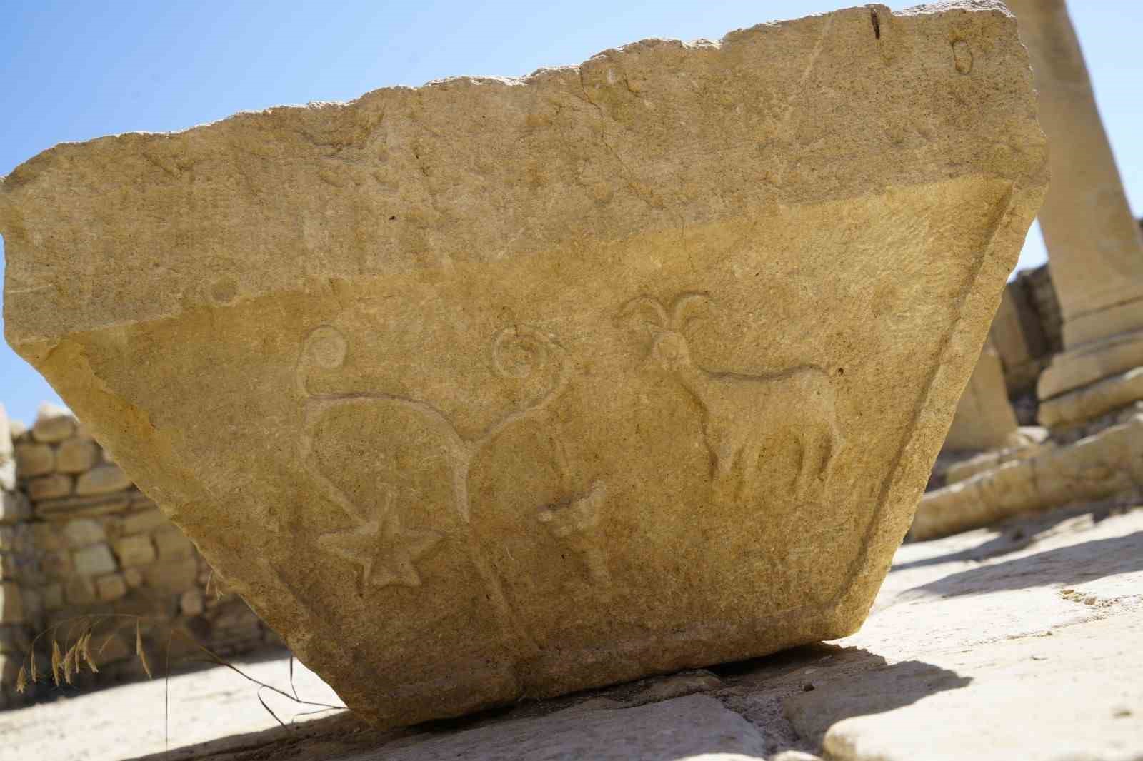 anadolunun-en-narin-kadin-iskeletleri-satalada-ortaya-cikti