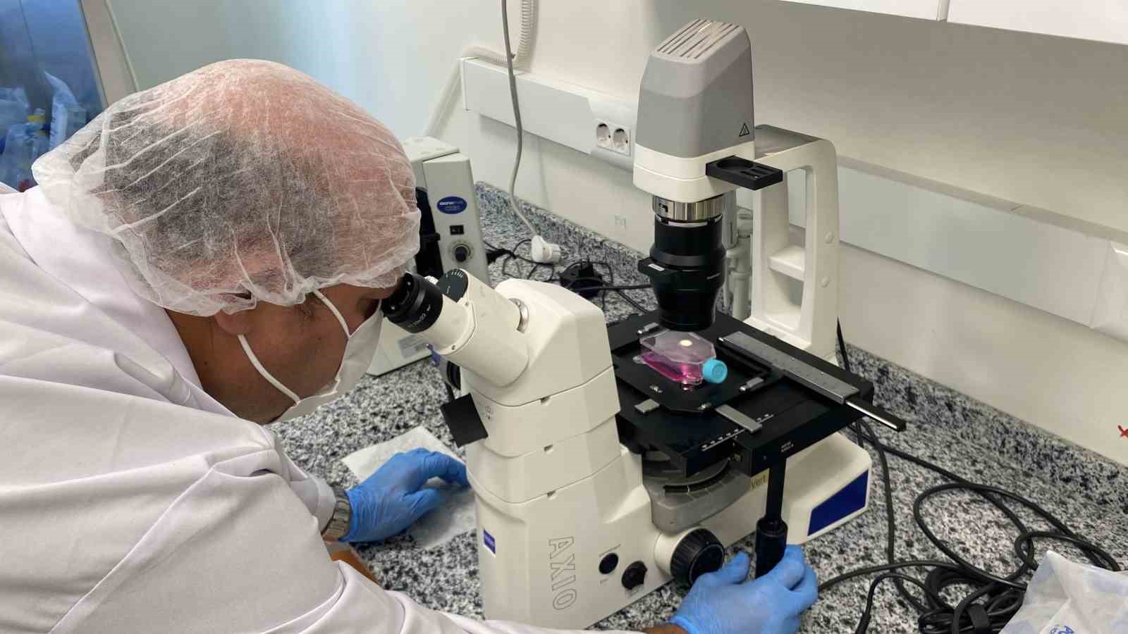 beyin-kanseri-tedavisinde-yerli-ve-etkili-nano-molekul-gelistirildi