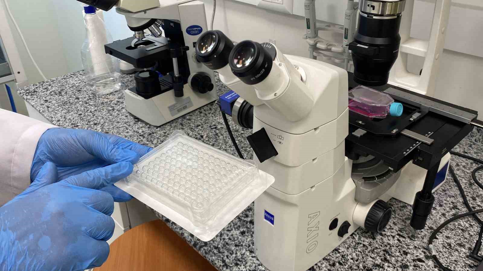 beyin-kanseri-tedavisinde-yerli-ve-etkili-nano-molekul-gelistirildi