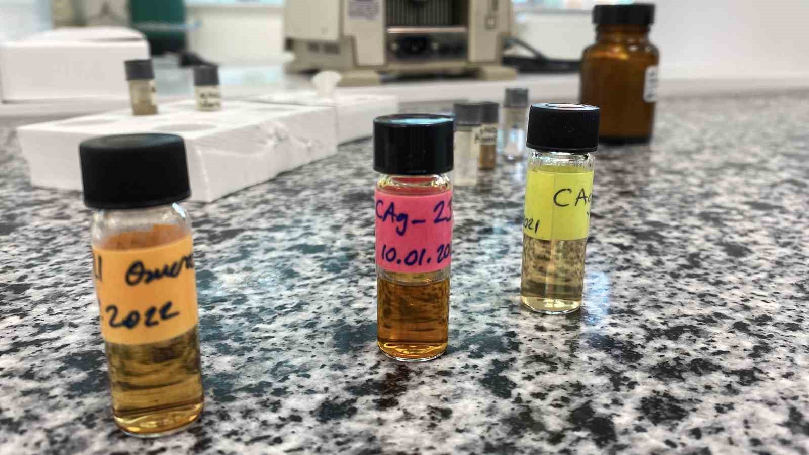 beyin-kanseri-tedavisinde-yerli-ve-etkili-nano-molekul-gelistirildi