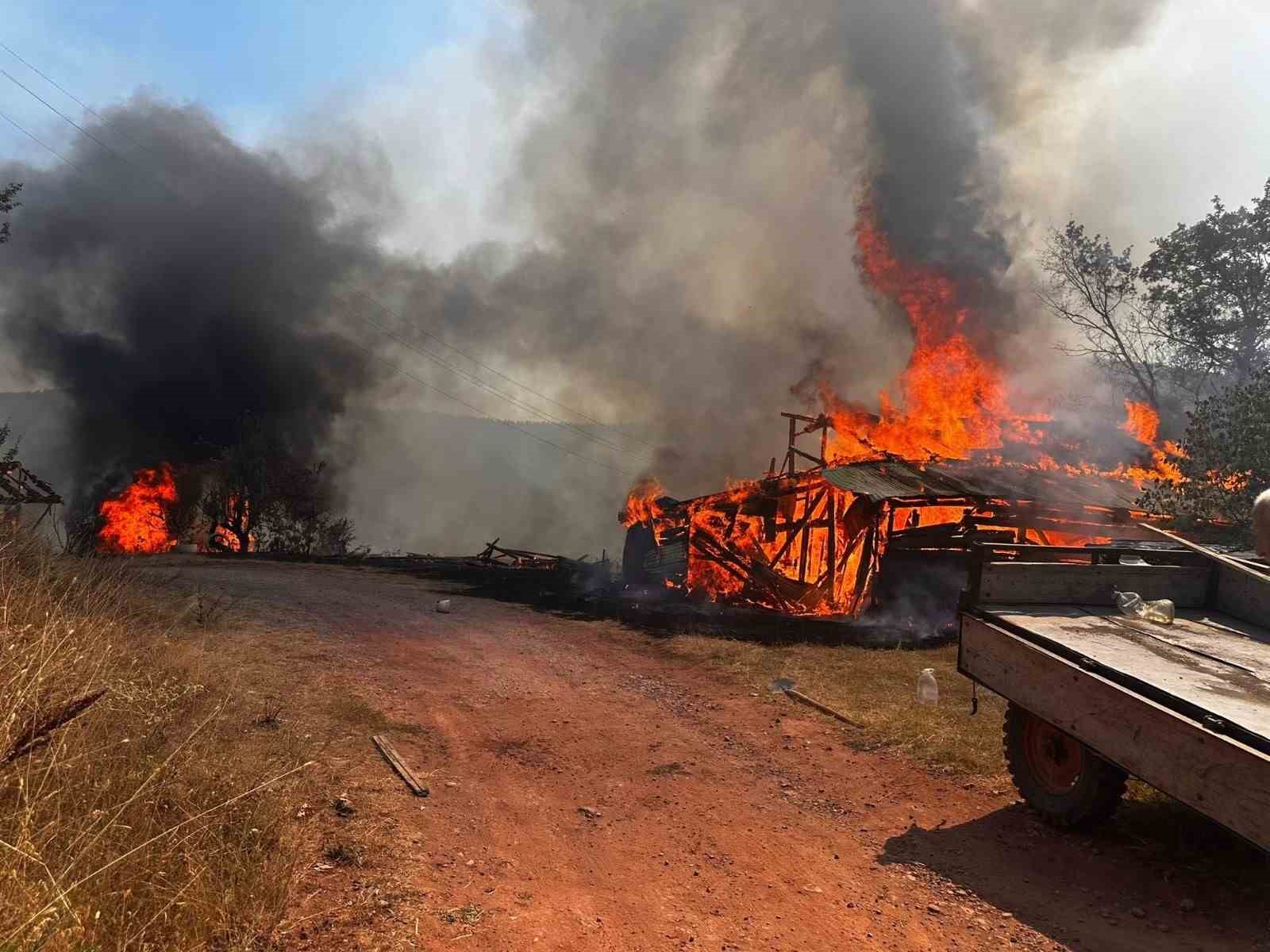 coplukte-cikan-yangin-5-samanligi-kule-cevirdi