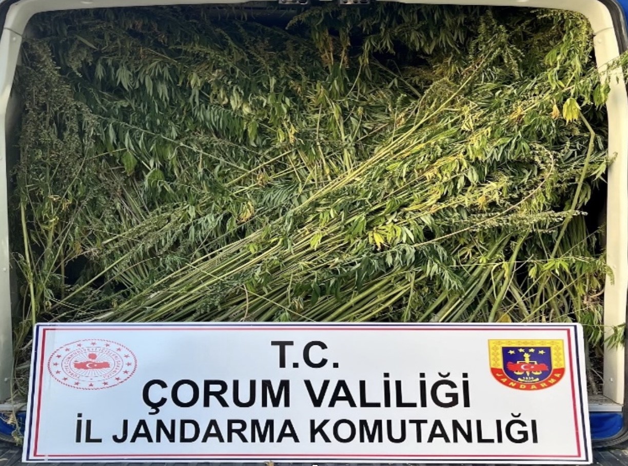 corumda-jandarmadan-uyusturucu-operasyonu-2-tutuklama