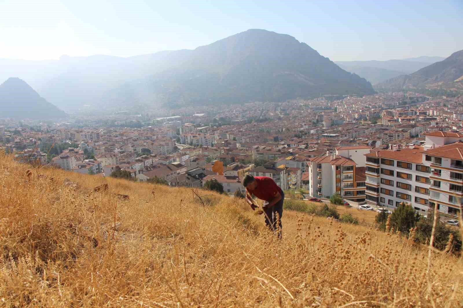 dag-yamaclarindan-topluyor-buketini-100-tlden-satiyor