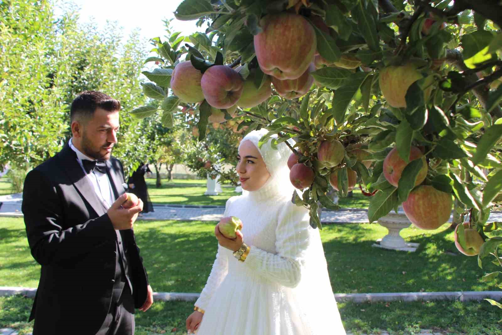 elmalarini-zirai-dondan-koruyan-ciftci-hasada-basladi-80-ton-rekolte-bekliyor