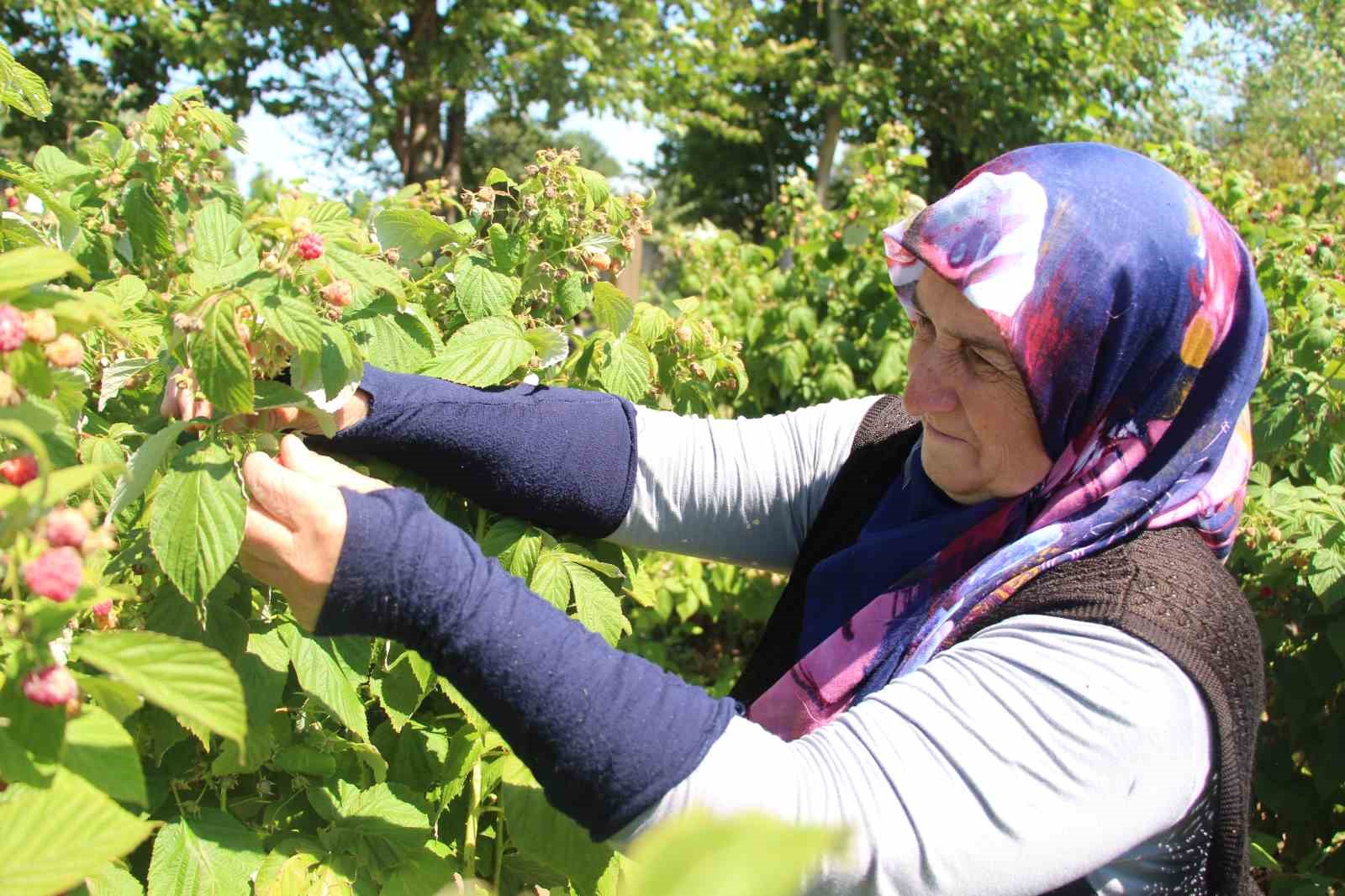 genc-girisimci-tarimda-kendi-isinin-patronu-oldu