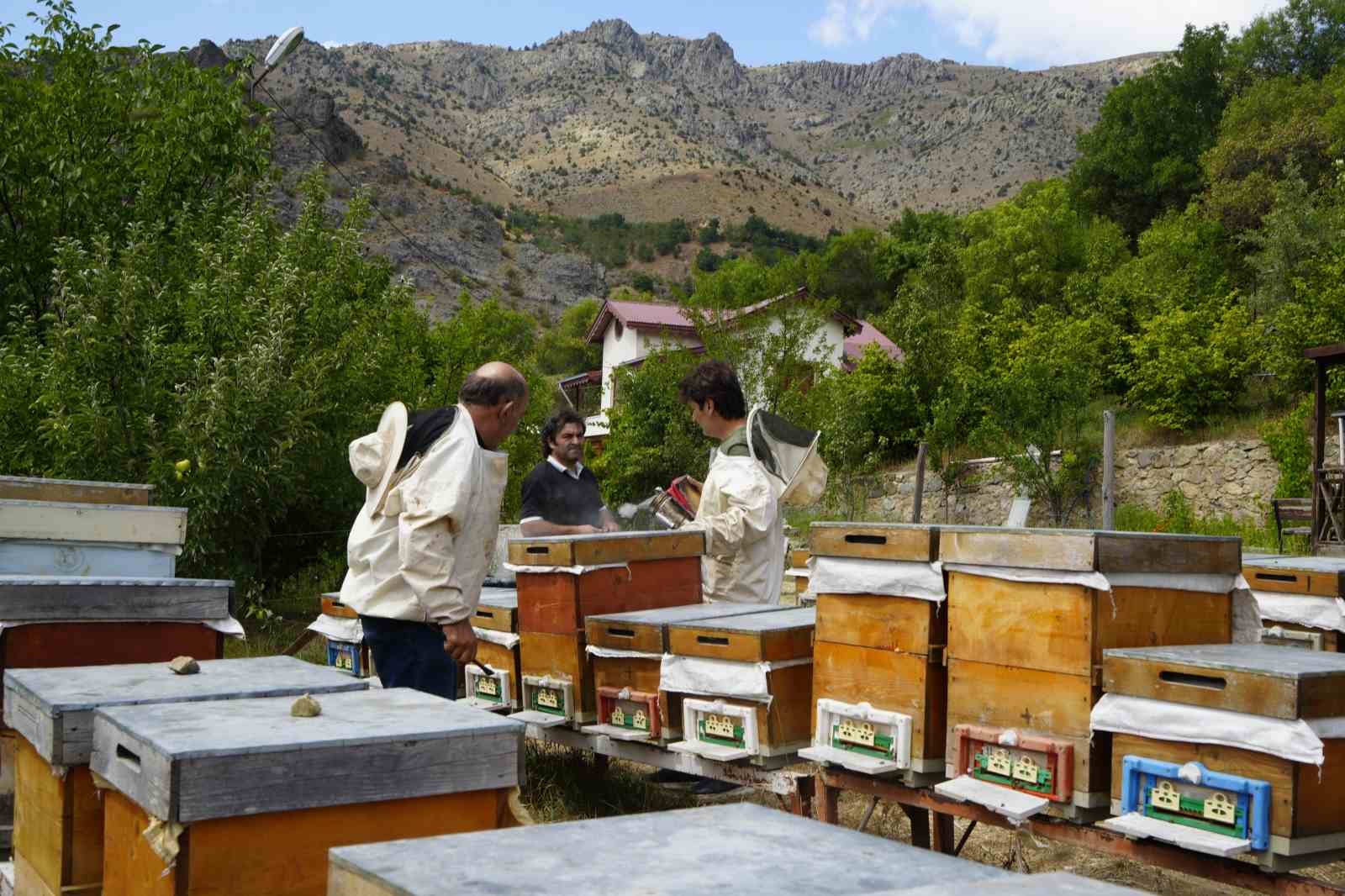 gumushanede-2025-yili-bal-hasadi-ureticilerin-yuzunu-guldurdu