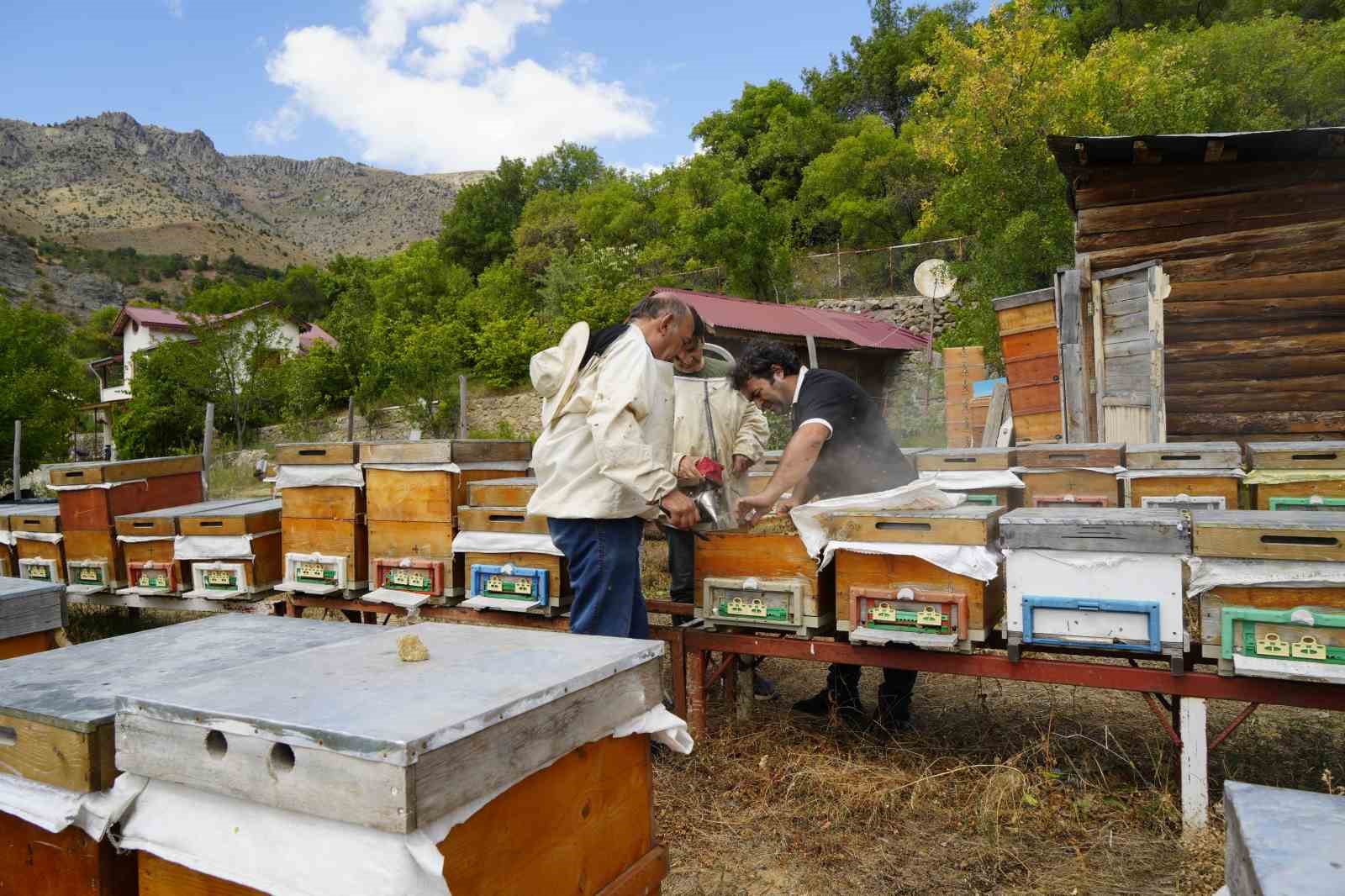 gumushanede-2025-yili-bal-hasadi-ureticilerin-yuzunu-guldurdu