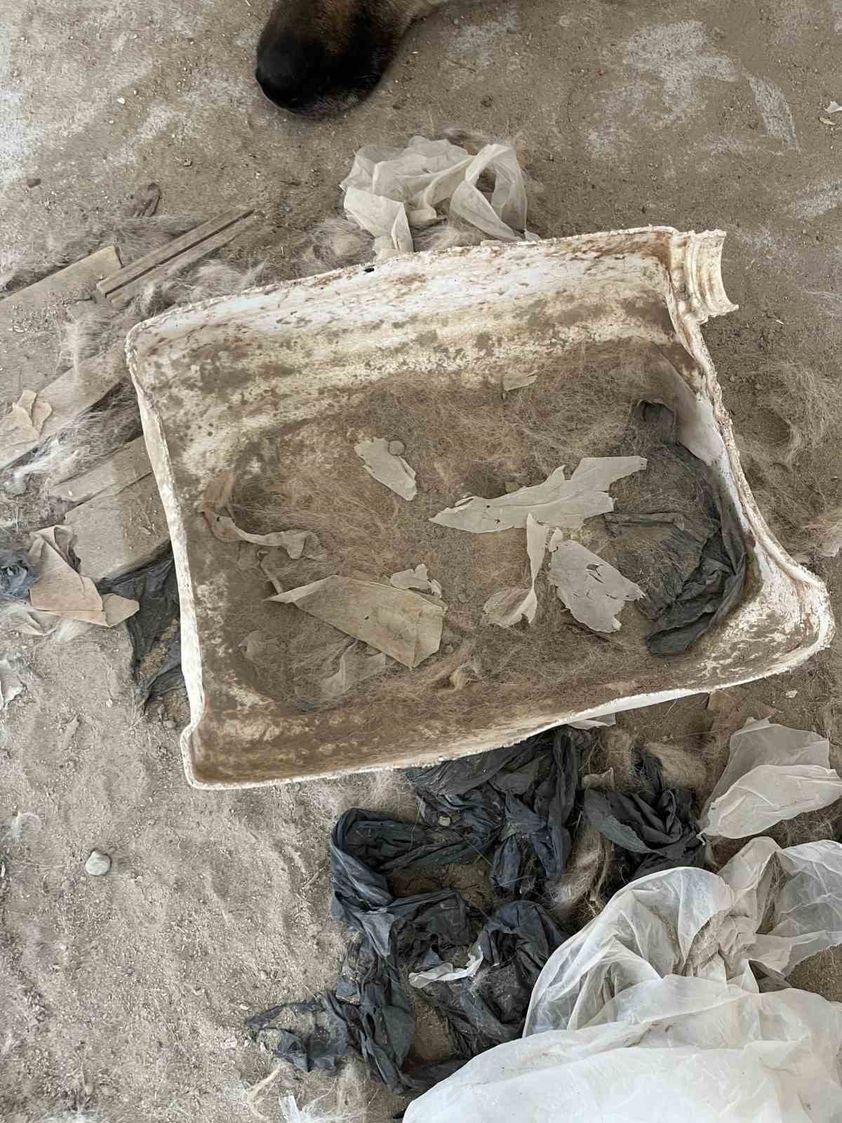 gumushanede-belediyeye-ait-hayvan-barinaginda-kopeklerin-aclik-ve-susuzluktan-oldugu-iddiasi