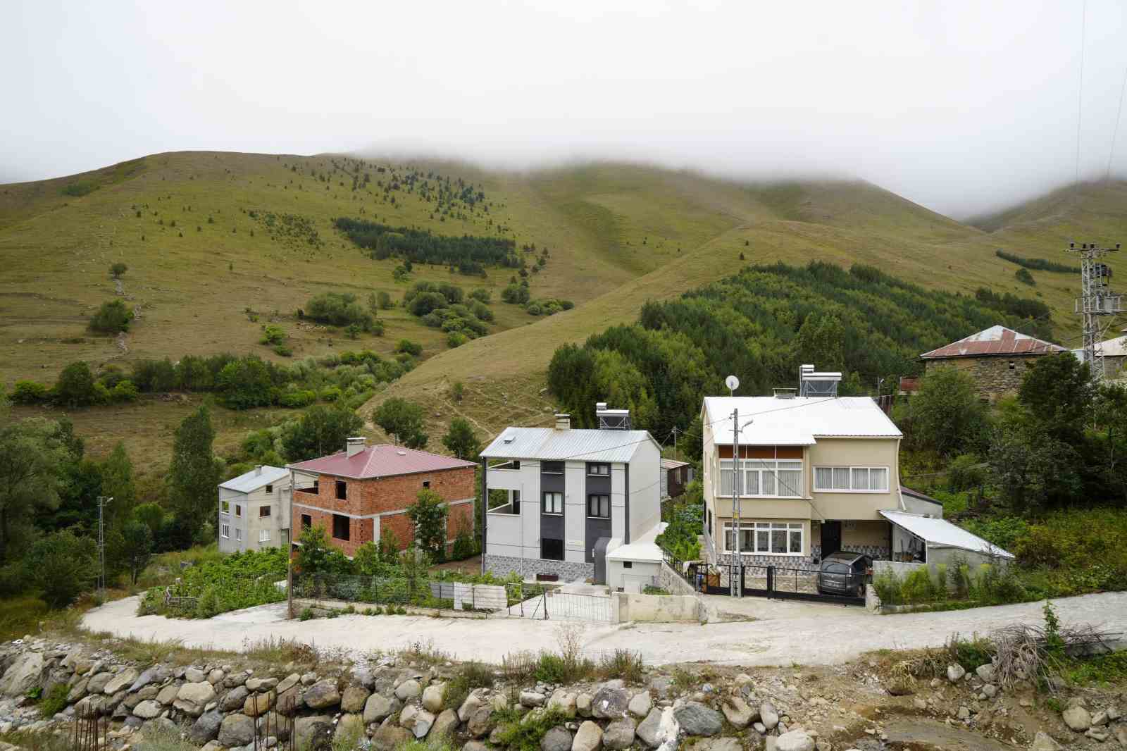gumushanede-emekli-imam-kendi-imkanlariyla-koyune-50-bin-agac-dikti