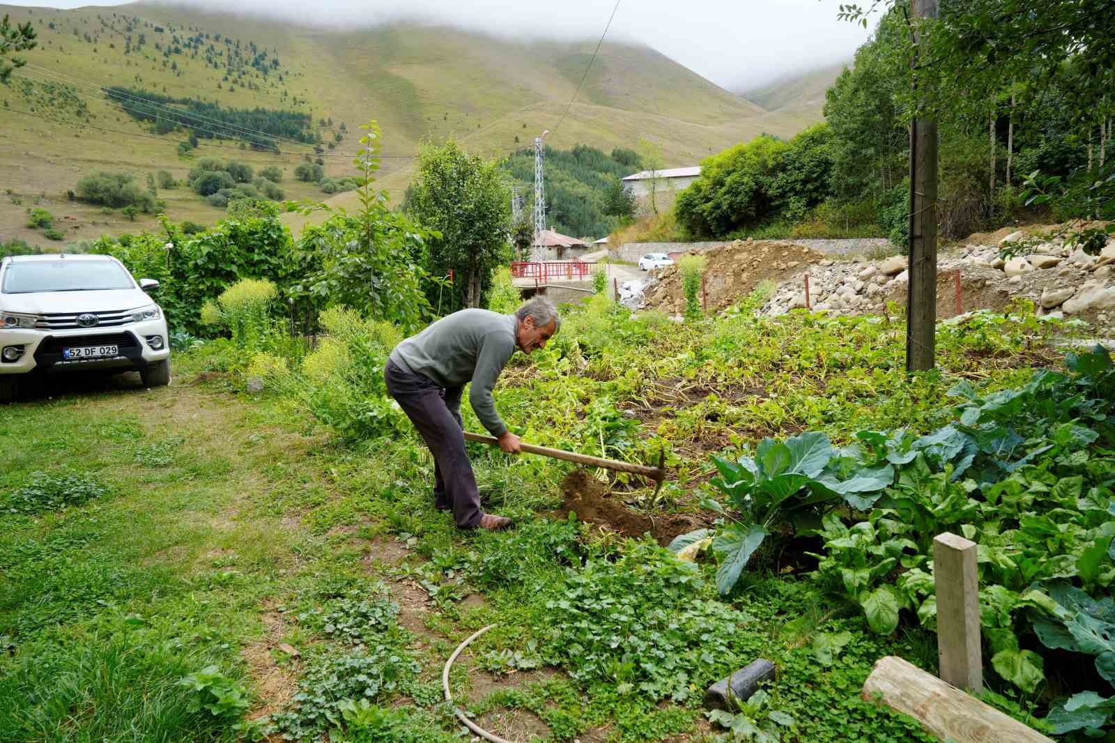 gumushanede-emekli-imam-kendi-imkanlariyla-koyune-50-bin-agac-dikti