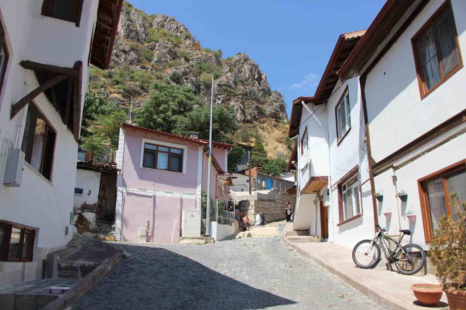 kadin-muhtar-baslatti-yunleri-imece-usulu-havalandiriyorlar