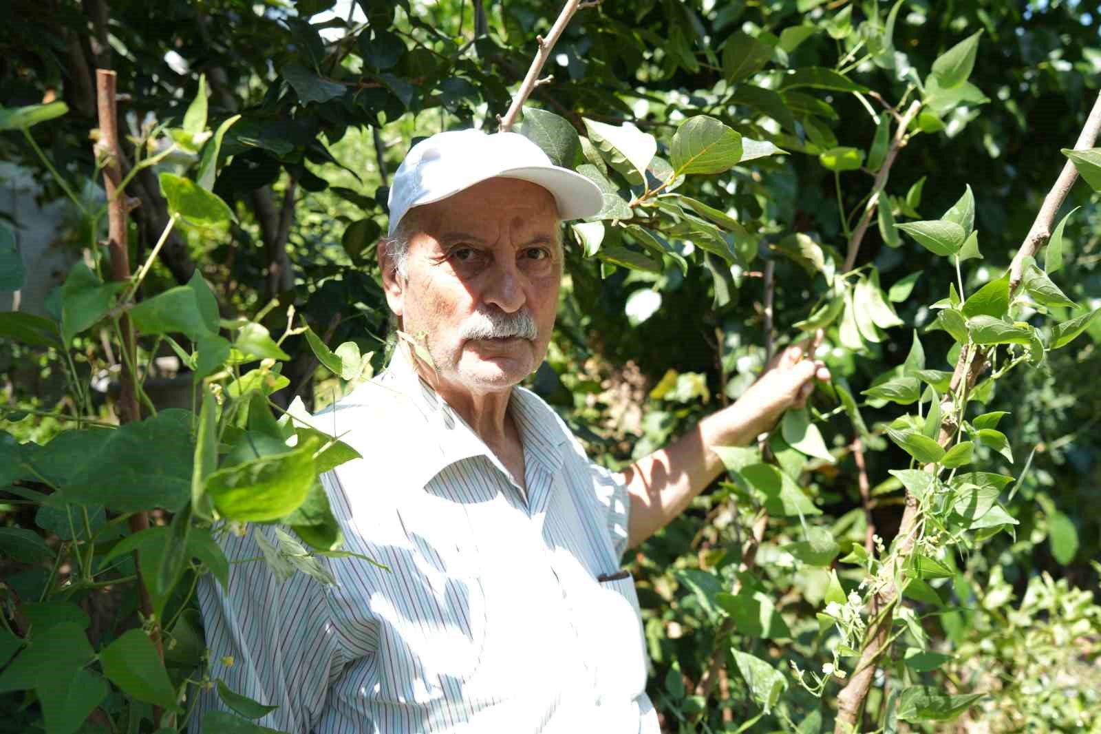olmaz-denileni-yapti-samsundaki-evini-tropikal-bahceye-cevirdi