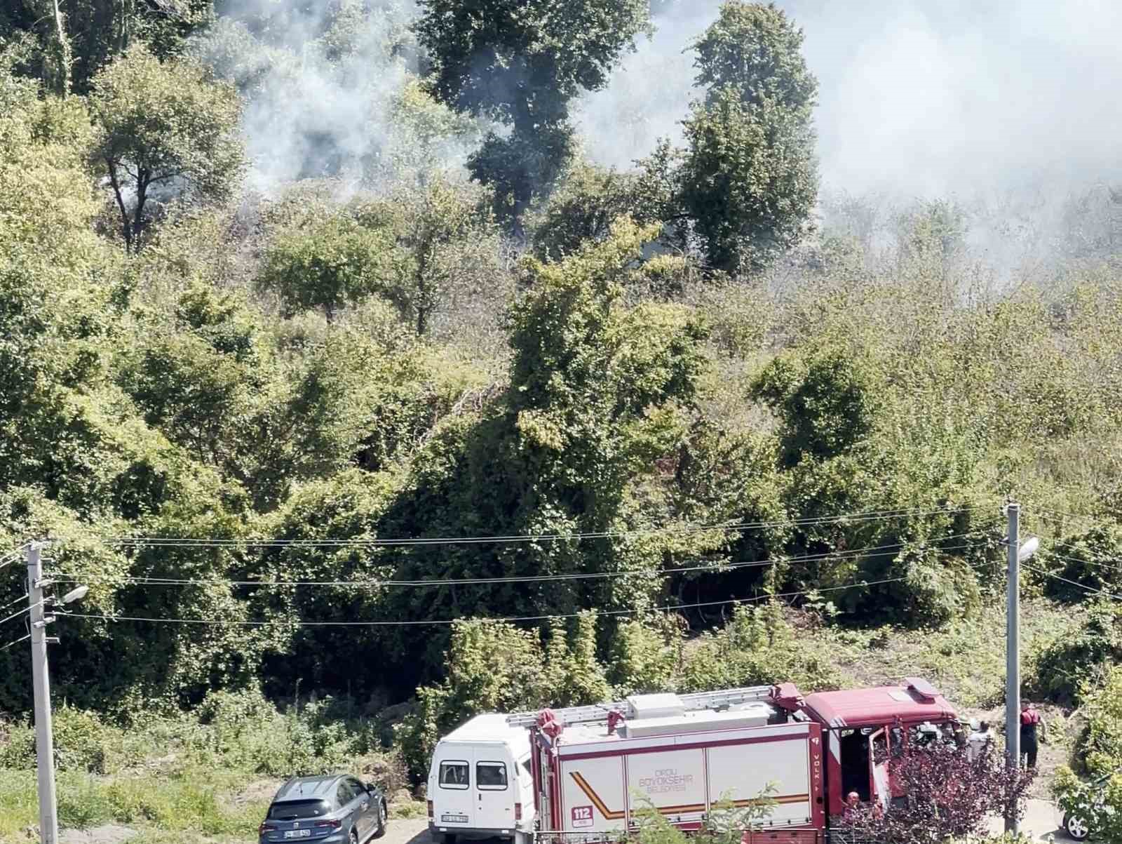 orduda-bahce-temizligi-yangina-yol-acti