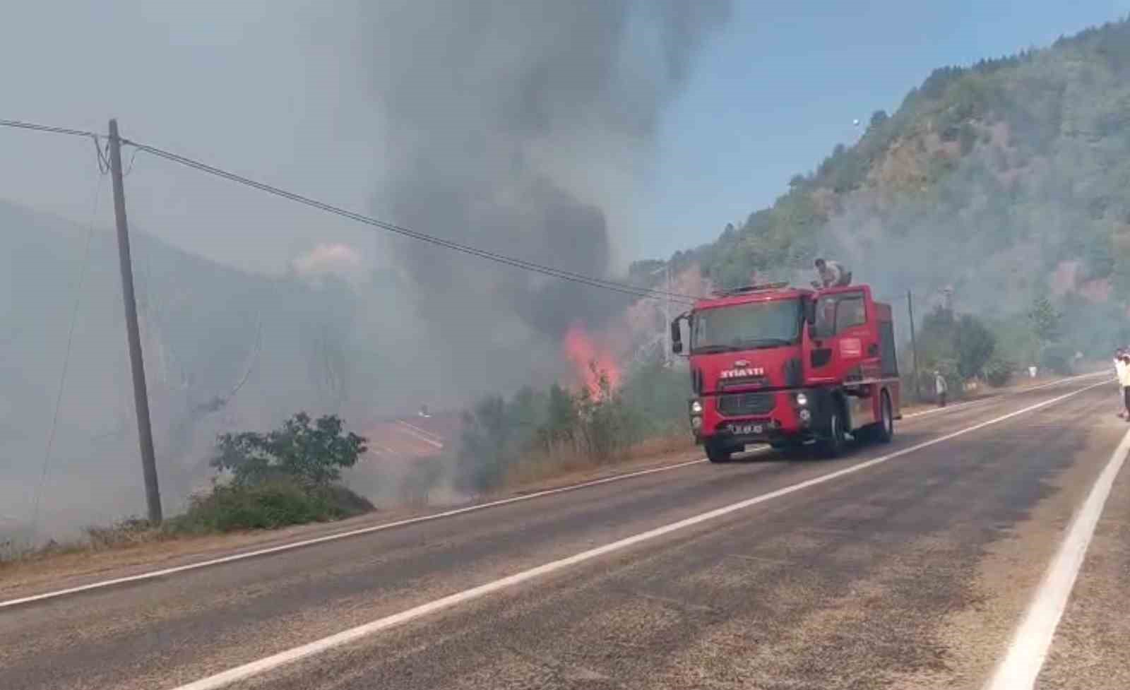 tarlada-cikan-yangin-samanligi-kule-cevirdi