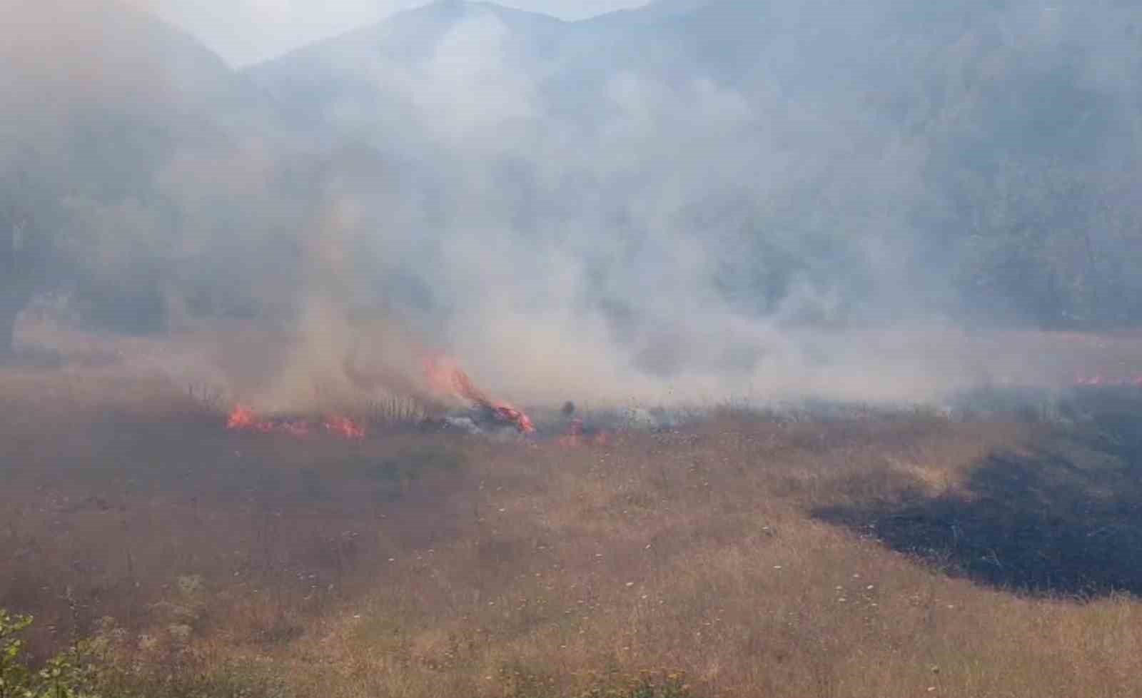 tarlada-cikan-yangin-samanligi-kule-cevirdi