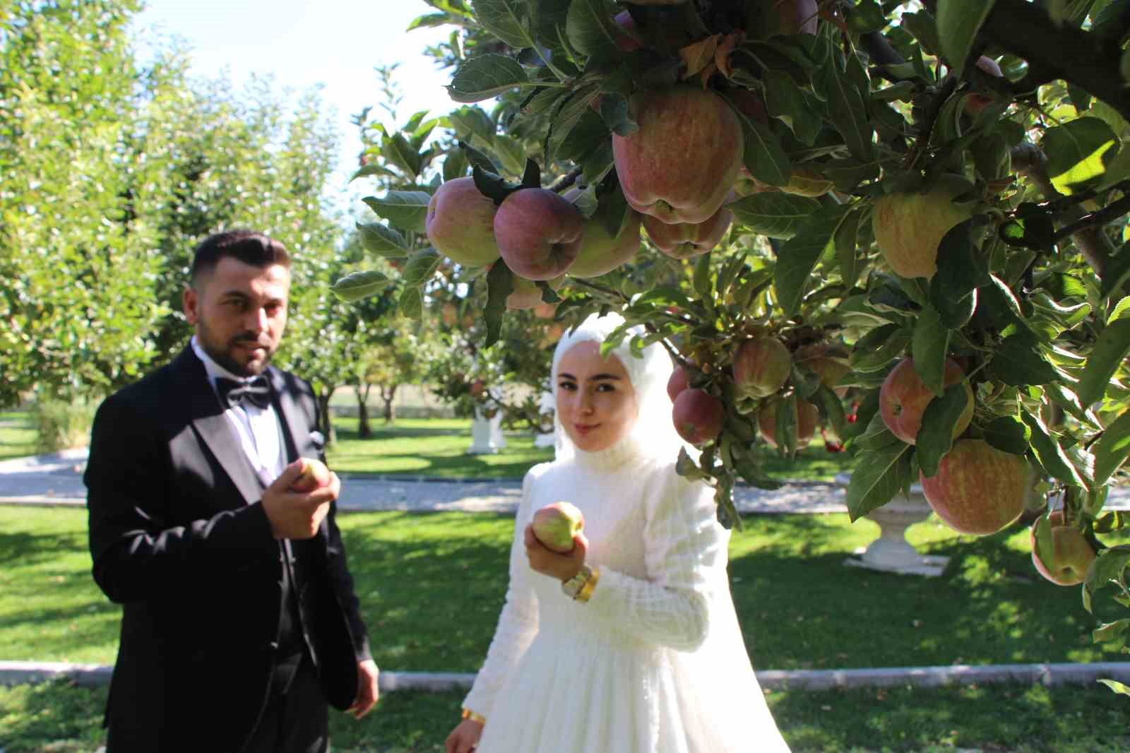 traktor-gelin-arabasi-oldu-gelin-direksiyona-gecti