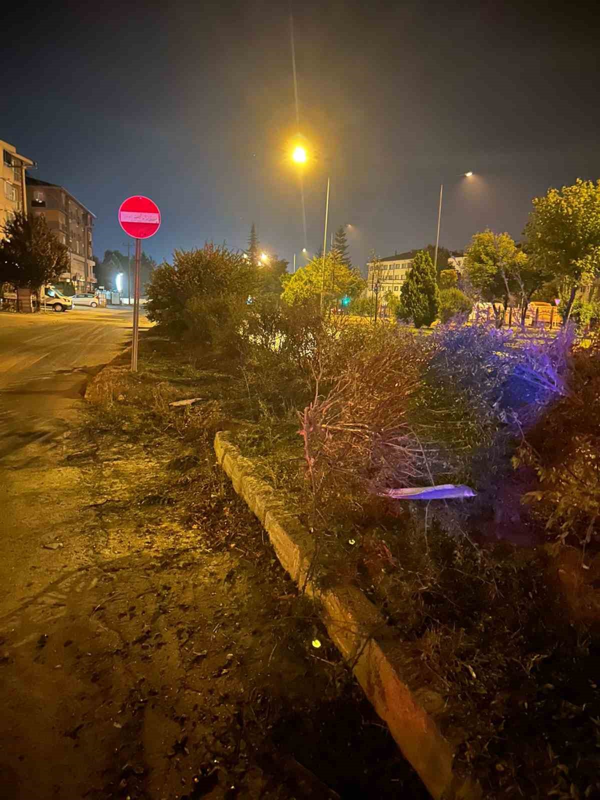 boluda-alkollu-surucu-agaca-carpti-2-yarali