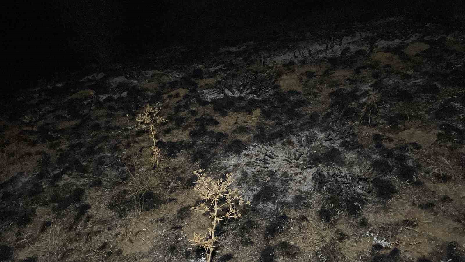 corumda-arazi-yanginin-ormana-sicramasini-ekipler-onledi