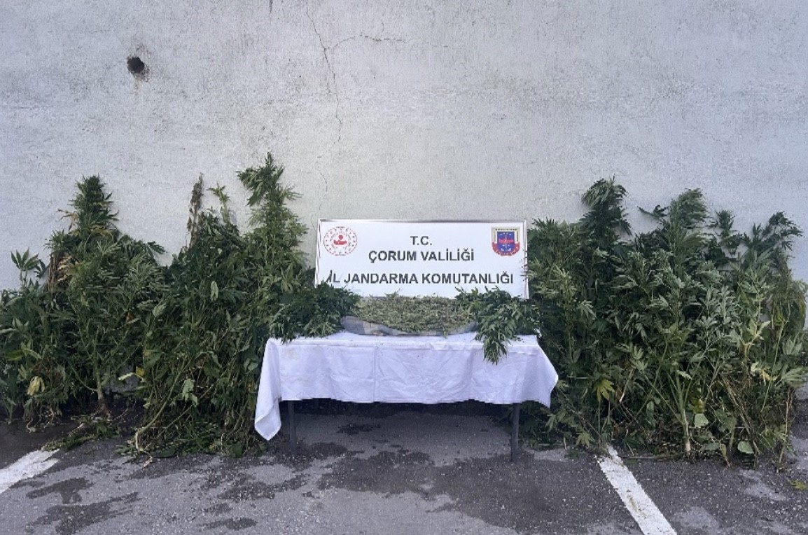 corumda-jandarmadan-uyusturucu-tacirlerine-operasyon-2-tutuklama