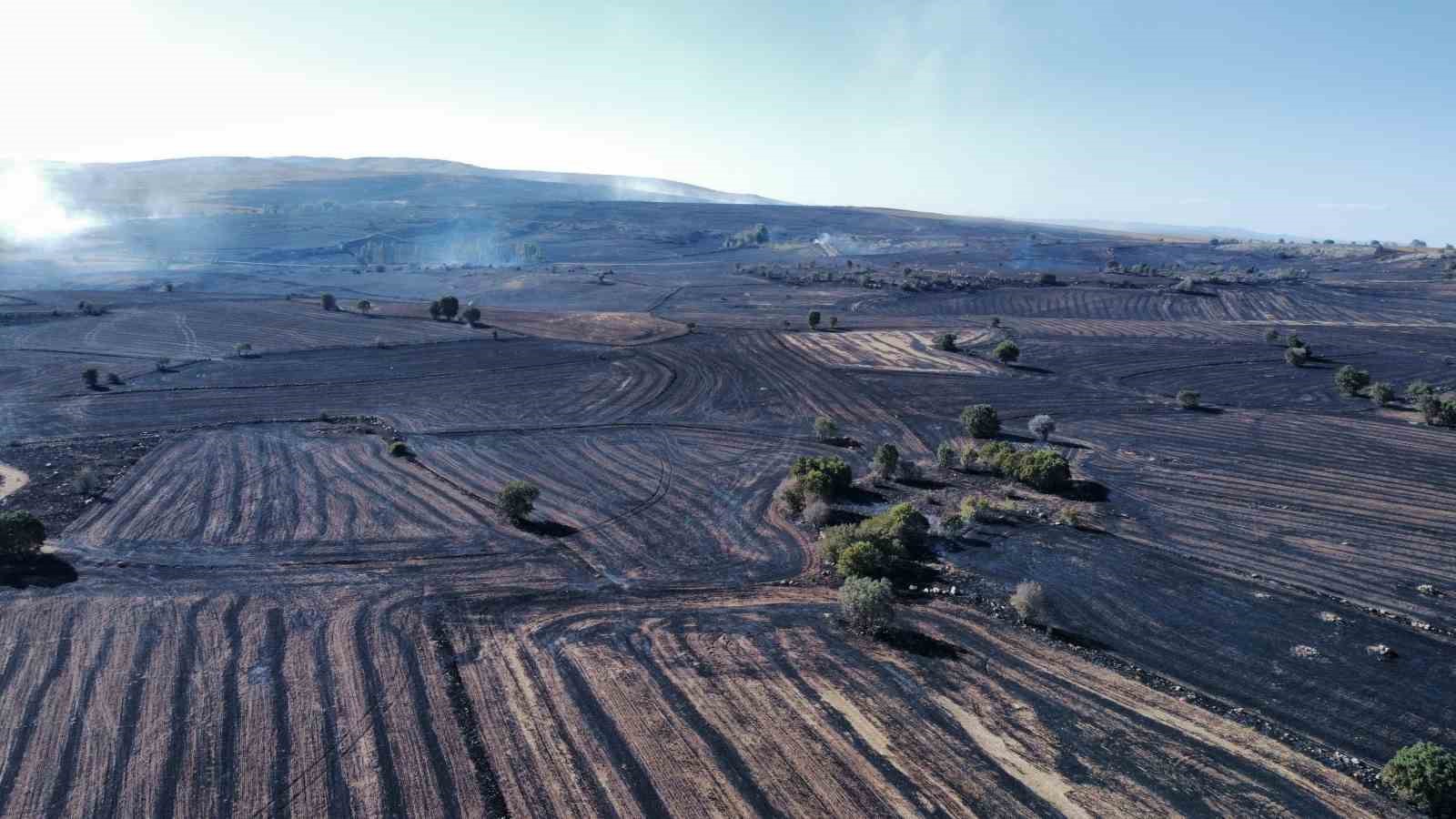 corumda-tarim-arazisindeki-yangin-ormanlik-alana-sicradi