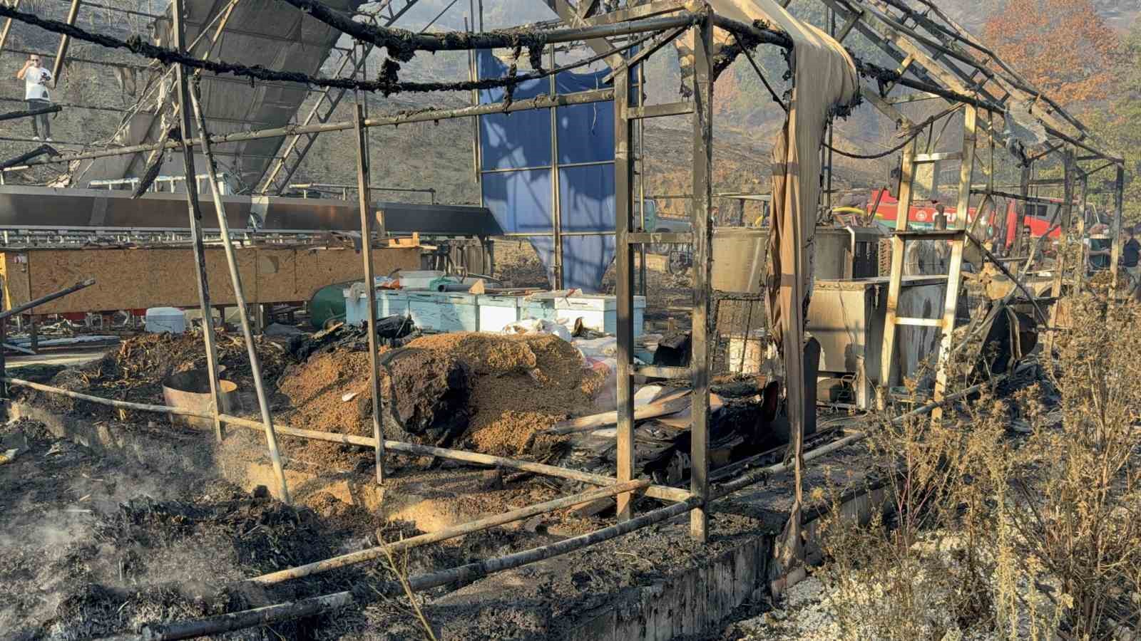duzcedeki-orman-yangininda-keci-uretim-ciftligi-kule-dondu