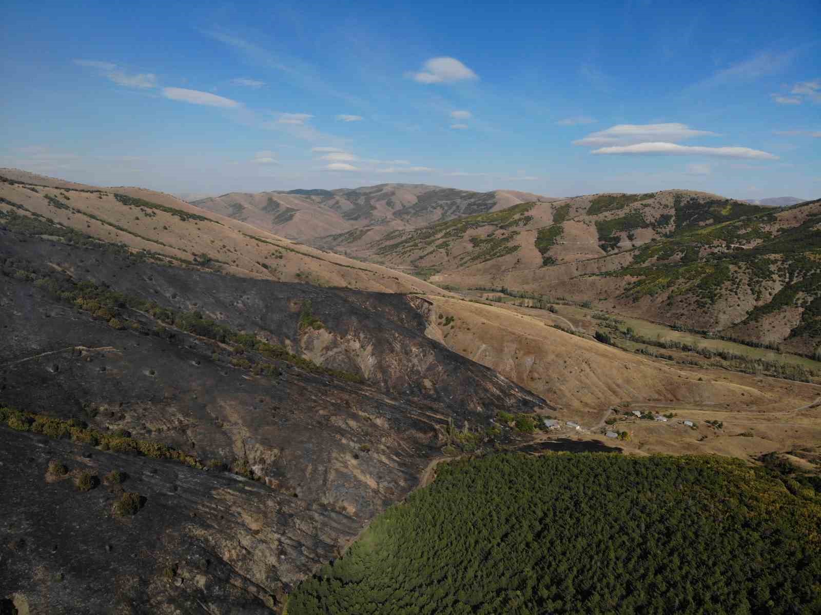 gumushanedeki-orman-yangininda-30-hektar-alan-kule-dondu