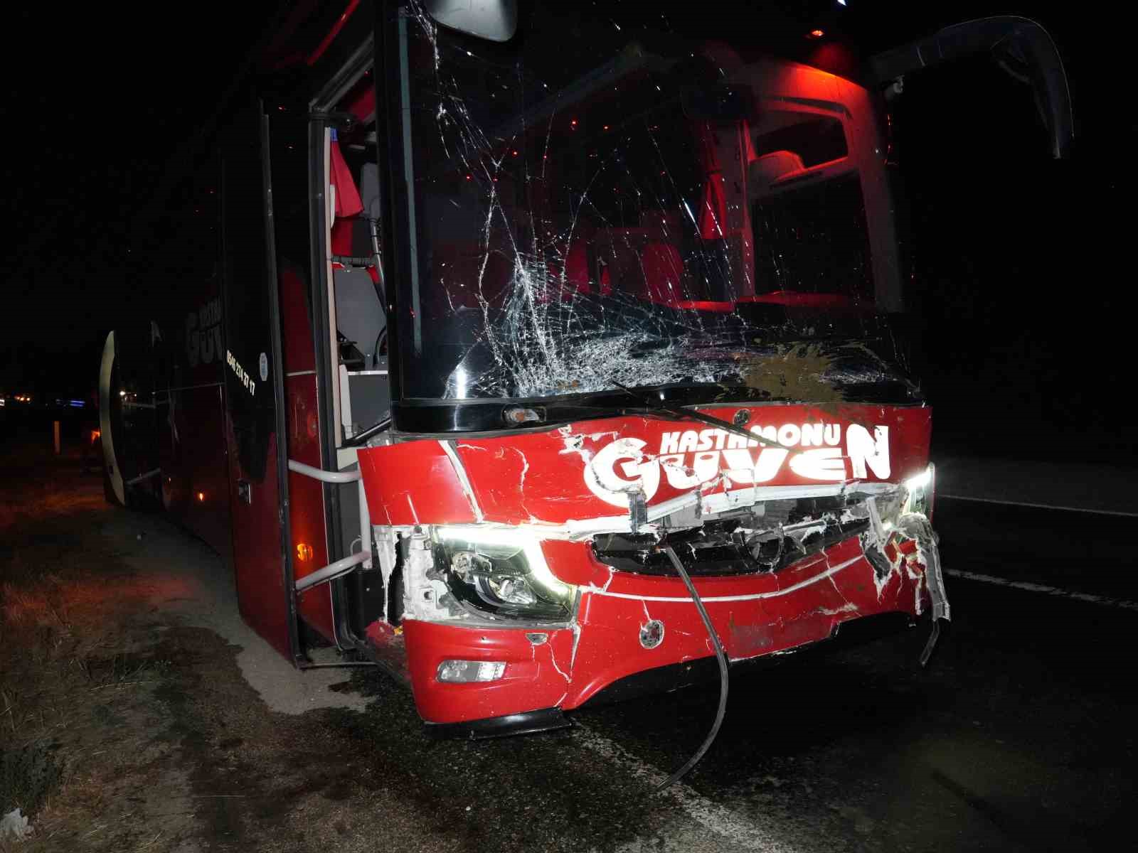 yola-cikan-hayvanlara-otobus-ve-cip-carpti-3-inek-telef-oldu
