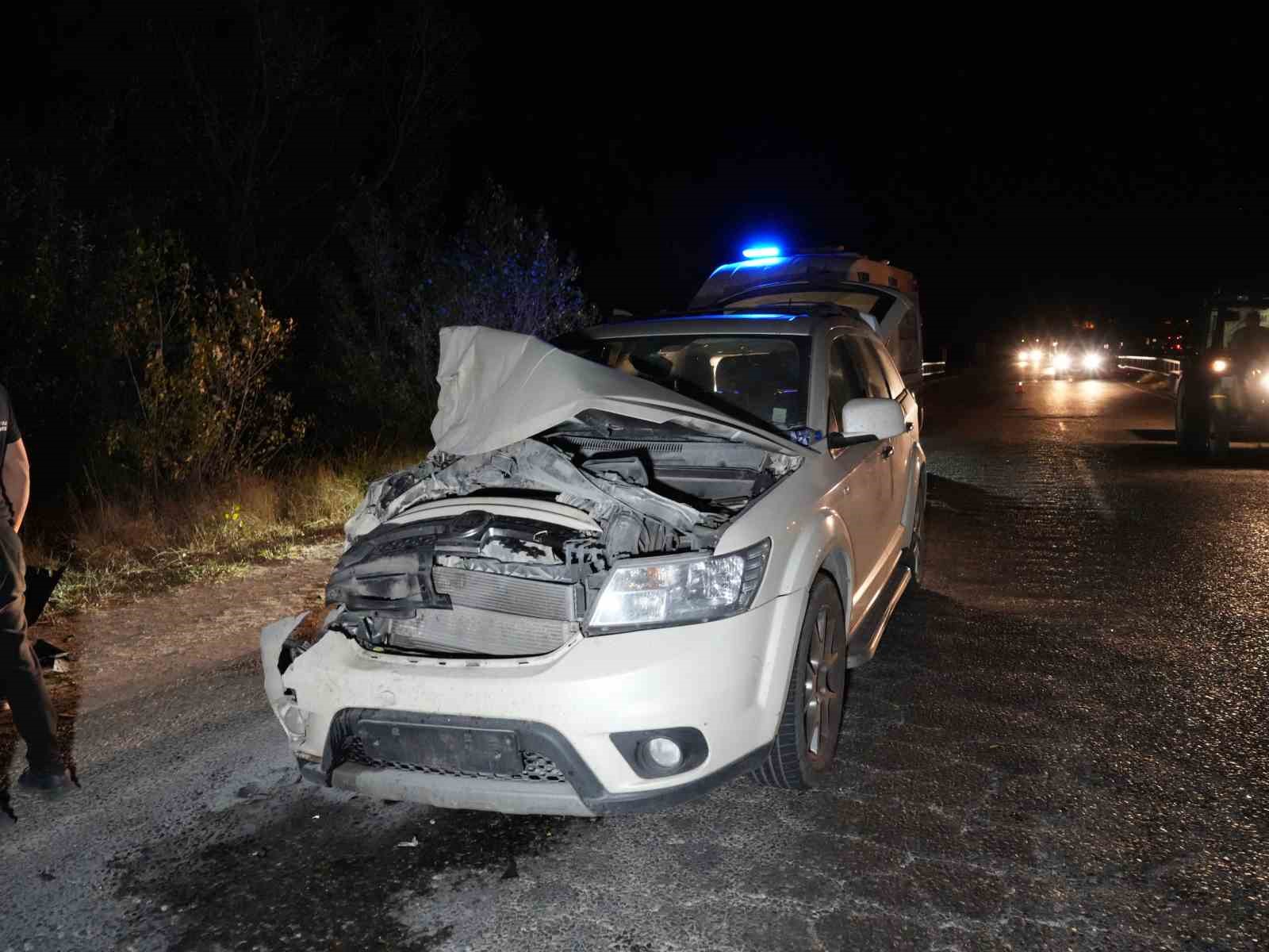 yola-cikan-hayvanlara-otobus-ve-cip-carpti-3-inek-telef-oldu