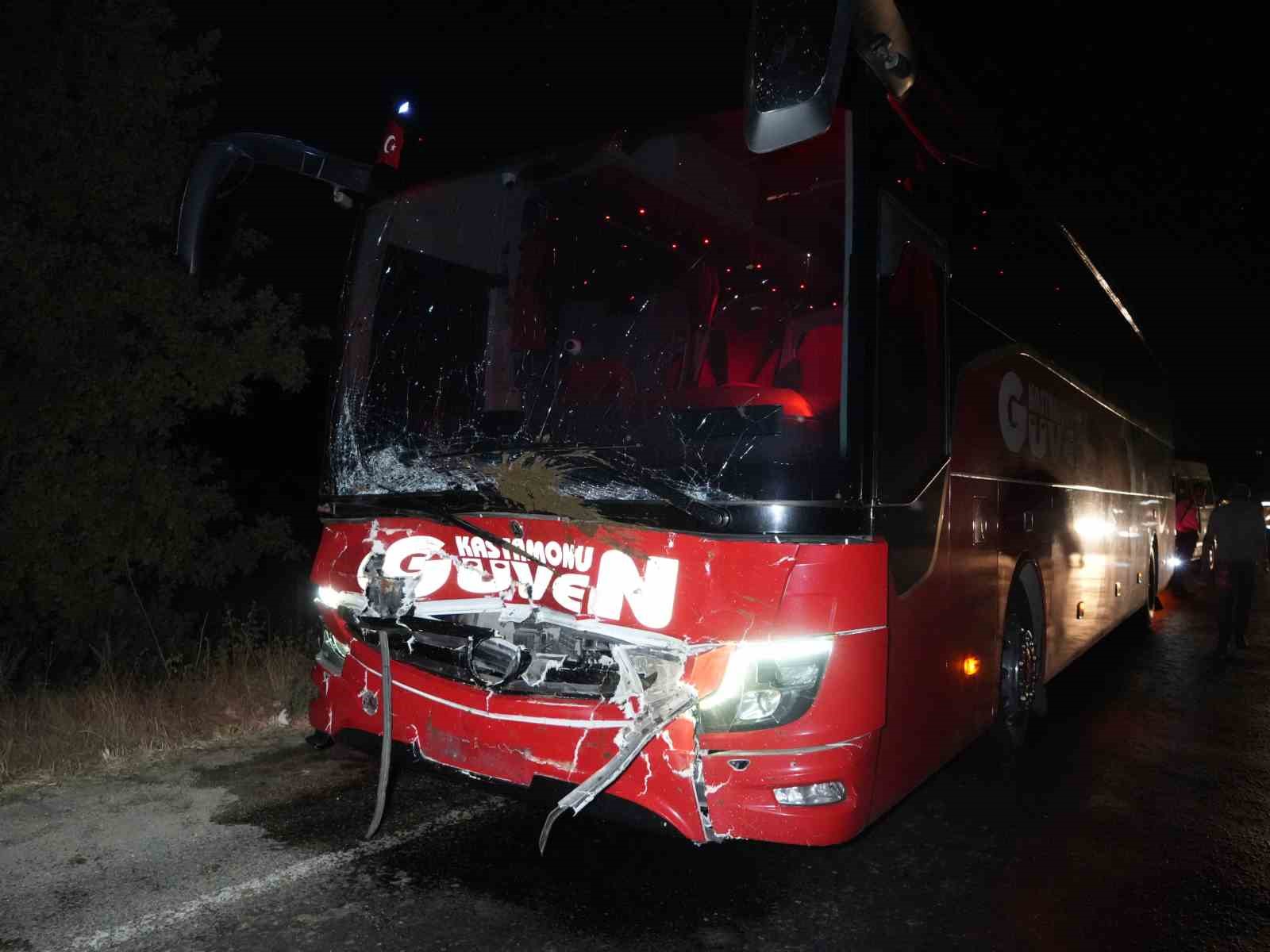 yola-cikan-hayvanlara-otobus-ve-cip-carpti-3-inek-telef-oldu