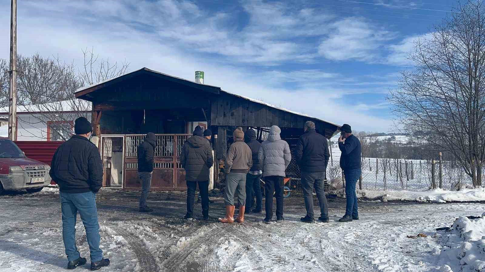 alevlere-teslim-olan-minibusunu-izlerken-kalbine-yenik-dustu