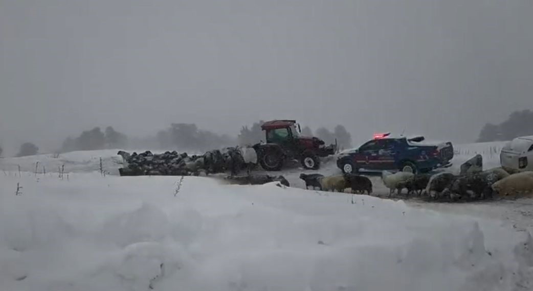 artvinde-cig-altinda-kalan-3-cobandan-birinin-cansiz-bedenine-ulasildi