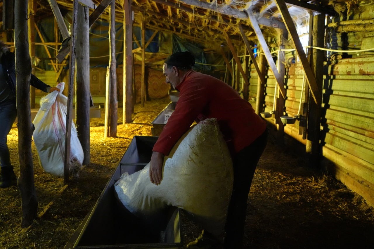 bayburtlu-besici-zorlu-kis-sartlarina-ragmen-140-hayvanini-sevgiyle-buyutuyor