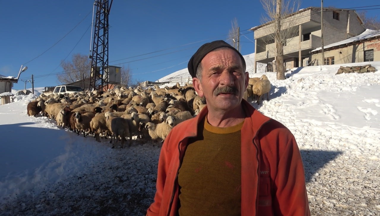 bayburtlu-besici-zorlu-kis-sartlarina-ragmen-140-hayvanini-sevgiyle-buyutuyor